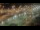 Webcam at the Panama Canal, 383.1 mi away
