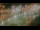 Webcam at the Panama Canal, 745.4 mi away
