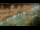 Webcam in Canal de Panamá, 429.3 km