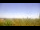 Webcam in Fayetteville, Arkansas, 218.9 km entfernt