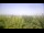 Webcam in Fayetteville, Arkansas, 373.2 km