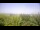 Webcam in Fayetteville, Arkansas, 159.6 km entfernt