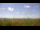 Webcam in Fayetteville, Arkansas, 310.8 km entfernt
