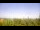 Webcam in Fayetteville, Arkansas, 205.7 km entfernt