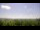 Webcam in Fayetteville, Arkansas, 453 km