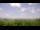 Webcam in Fayetteville, Arkansas, 409 km