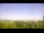 Webcam in Fayetteville, Arkansas, 127.8 mi away