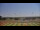 Webcam in Waldron, Arkansas, 334 km entfernt