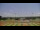 Webcam in Waldron, Arkansas, 331.5 km