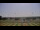 Webcam in Waldron, Arkansas, 145 mi away