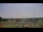 Webcam in Waldron, Arkansas, 127.1 mi away