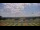 Webcam in Waldron, Tennessee, 342.5 km