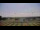 Webcam in Waldron, Tennessee, 366.4 km