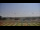 Webcam in Waldron, Arkansas, 142.5 mi away