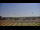 Webcam in Waldron, Arkansas, 141.4 mi away