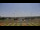 Webcam in Waldron, Tennessee, 327.8 km
