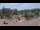 Webcam in Connersville, Indiana, 92.5 km