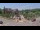 Webcam in Connersville, Indiana, 91.9 km