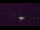 Webcam in Lowell, Indiana, 161.1 km