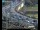 Webcam in Dresden, 0.4 km