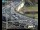 Webcam in Dresden, 0.4 km entfernt