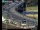 Webcam in Dresden, 0 mi away