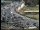Webcam in Dresden, 0.3 mi away
