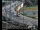Webcam in Dresden, 0.4 km entfernt