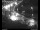 Webcam in Dresden, 0.8 km entfernt
