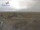 Webcam sur Spiekeroog, 7.9 km