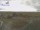 Webcam on Spiekeroog, 18.8 mi away