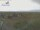 Webcam in Spiekeroog, 48.7 km