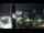 Webcam in Bensersiel, 17.6 km