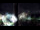 Webcam in Bensersiel, 5.5 mi away