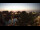 Webcam in Neuharlingersiel, 7.5 mi away
