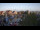 Webcam in Neuharlingersiel, 2.7 mi away