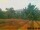 Webcam in Pallini, 109.4 km