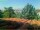 Webcam in Pallini, 16.7 km entfernt