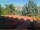 Webcam in Pallini, 4.8 km