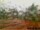 Webcam in Pallini, 5.5 mi away