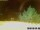 Webcam in Pallini, 8.8 mi away