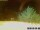 Webcam in Pallini, 34.2 km entfernt