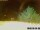 Webcam in Pallini, 125 km entfernt