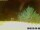 Webcam in Pallini, 4.5 mi away