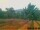 Webcam in Pallini, 14 km entfernt