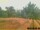 Webcam in Pallini, 15.6 mi away
