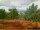 Webcam in Pallini, 8.5 mi away