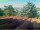 Webcam in Pallini, 8.5 mi away