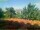 Webcam in Pallini, 14.4 km