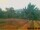 Webcam in Pallini, 5.5 mi away